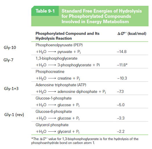 hydrolysis free energy
